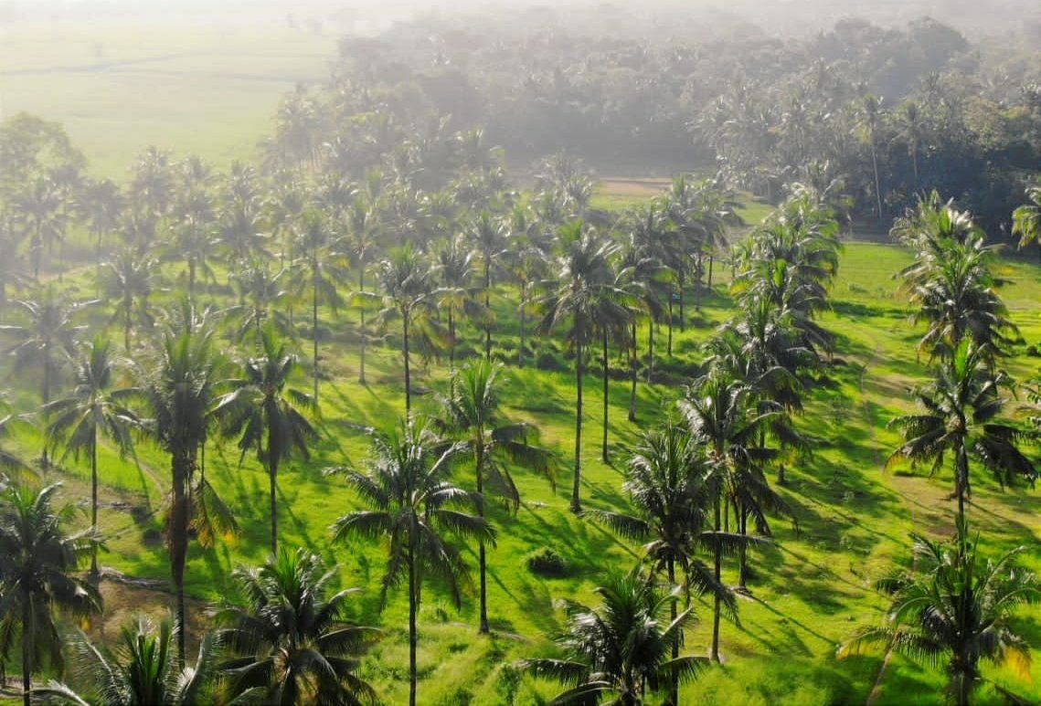 PT Sepakat Multi Niaga - The Commodity Supplier Co.