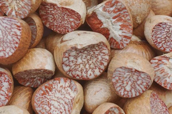 Betel Nuts Supplier